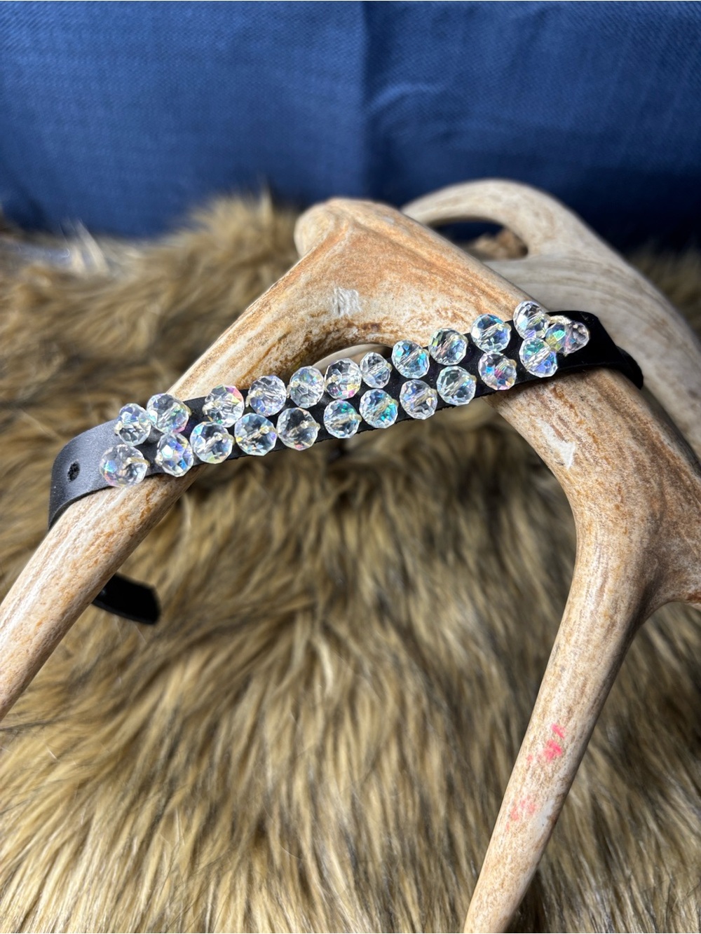 Black Crystal-Embellished Dog Collar — Sparkling Accent